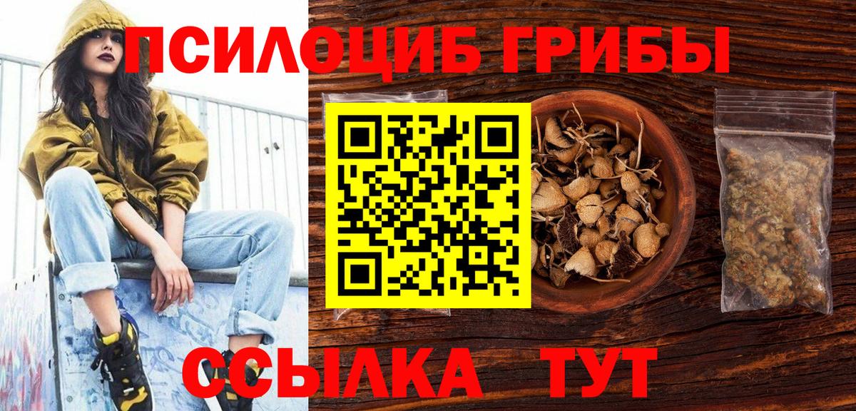 Галлюциногенные грибы Psilocybine cubensis Зеленогорск