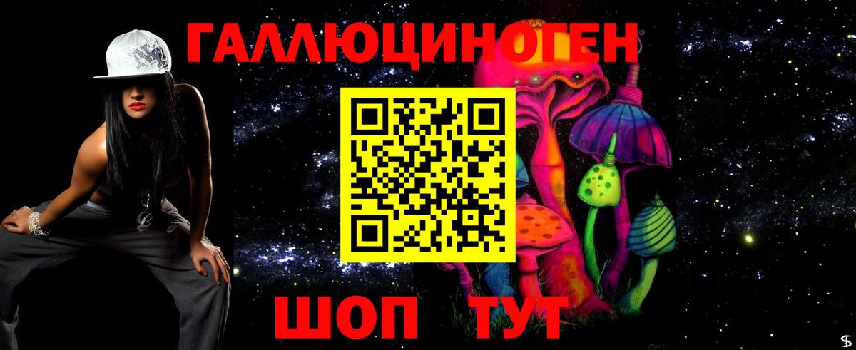 Псилоцибиновые грибы мицелий  где купить   Псилоцибиновые грибы мицелий  Зеленогорск  Вход с VPN 